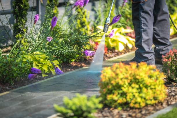 Best Winterizing Services  in Morris Plains, NJ