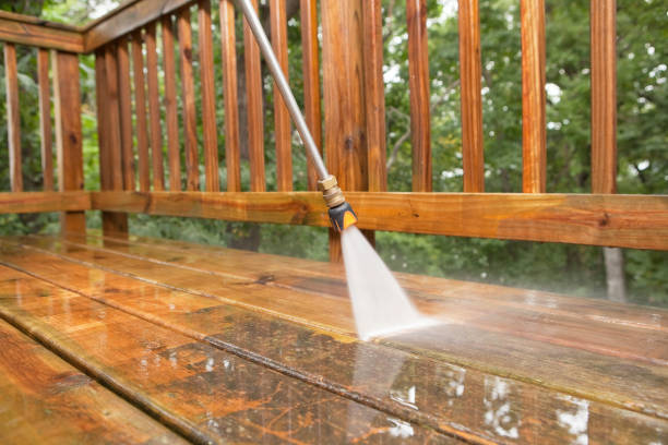 Best Soft Washing  in Morris Plains, NJ