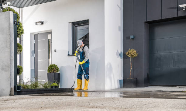 Best Roof Washing  in Morris Plains, NJ
